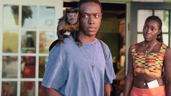 PETA criticizes Apple TV+ series ‘Bad Monkey’ for alleged animal exploitation